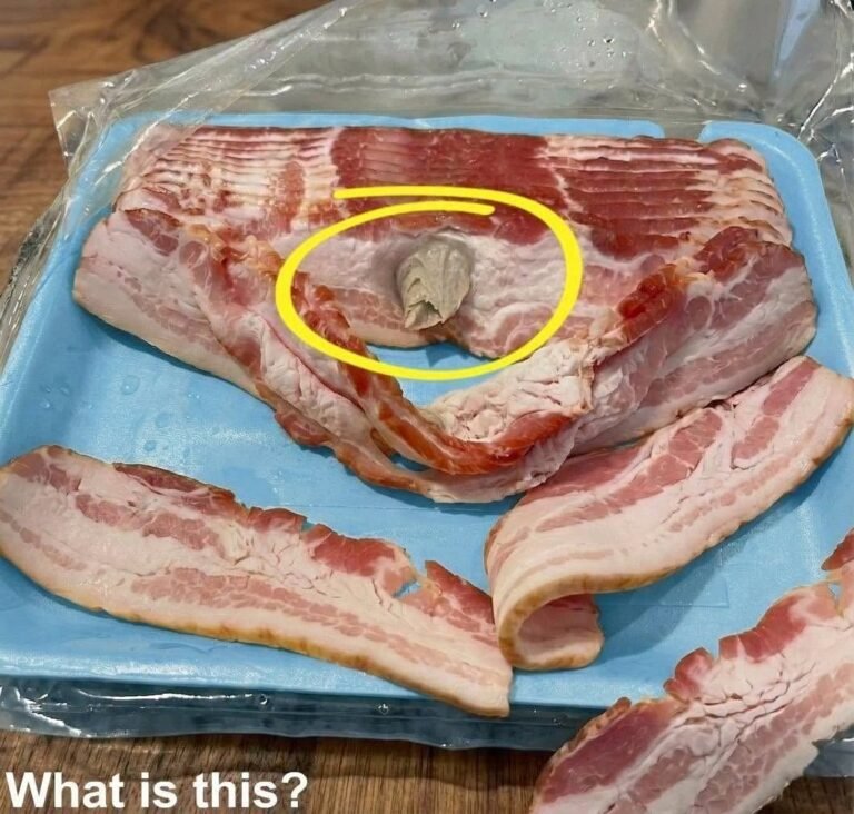 Easy Kitchen Food Safety Guide: What That Strange Bacon Chunk Really Means