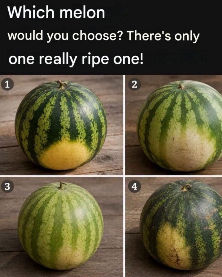 Which melon would you choose? There’s only one real…See more