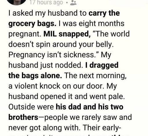 I Was Eight Months Pregnant and Carrying Groceries Alone, What Happened the Next Morning Changed My Marriage Forever!