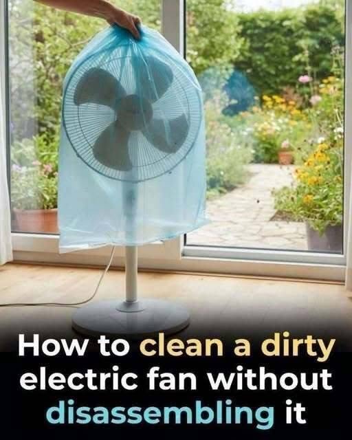 How to Clean a Fan Without Taking It Apart… See more