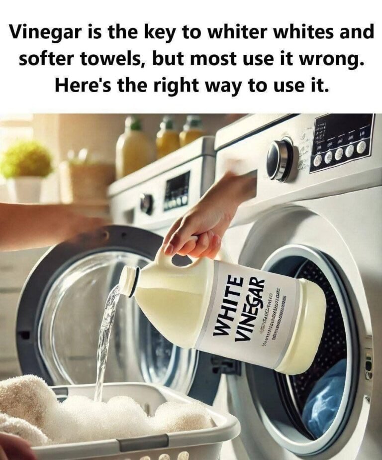 Vinegar is the key to whiter whites and softer towels, but most use it wrong. Here’s the right way to use it.