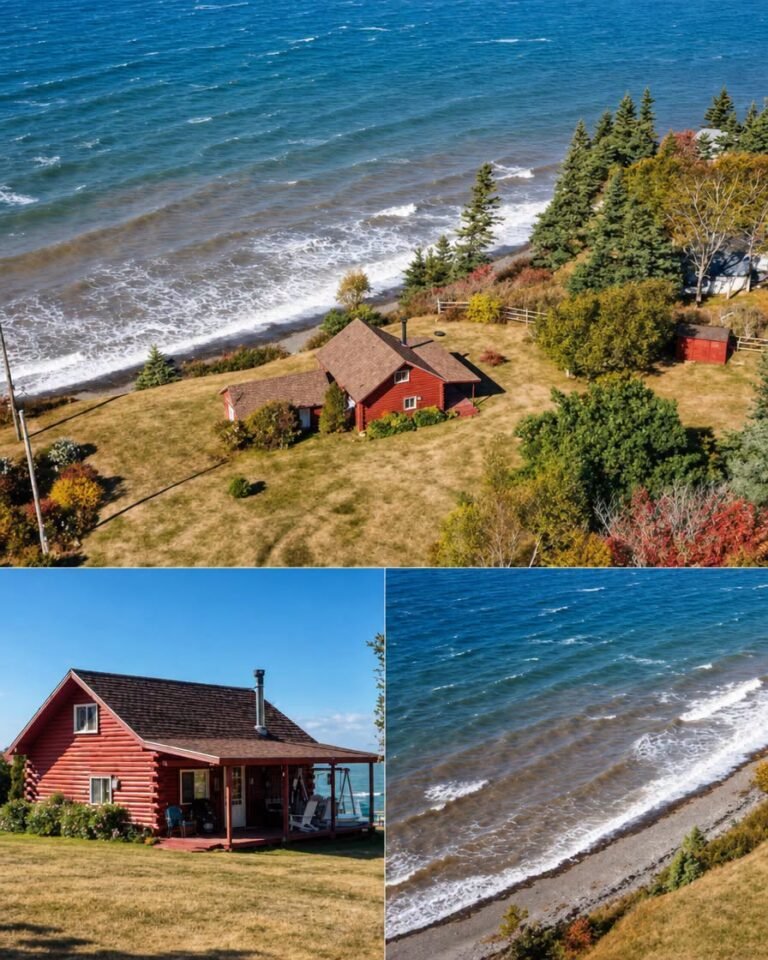 The Oceanfront Sanctuary…….